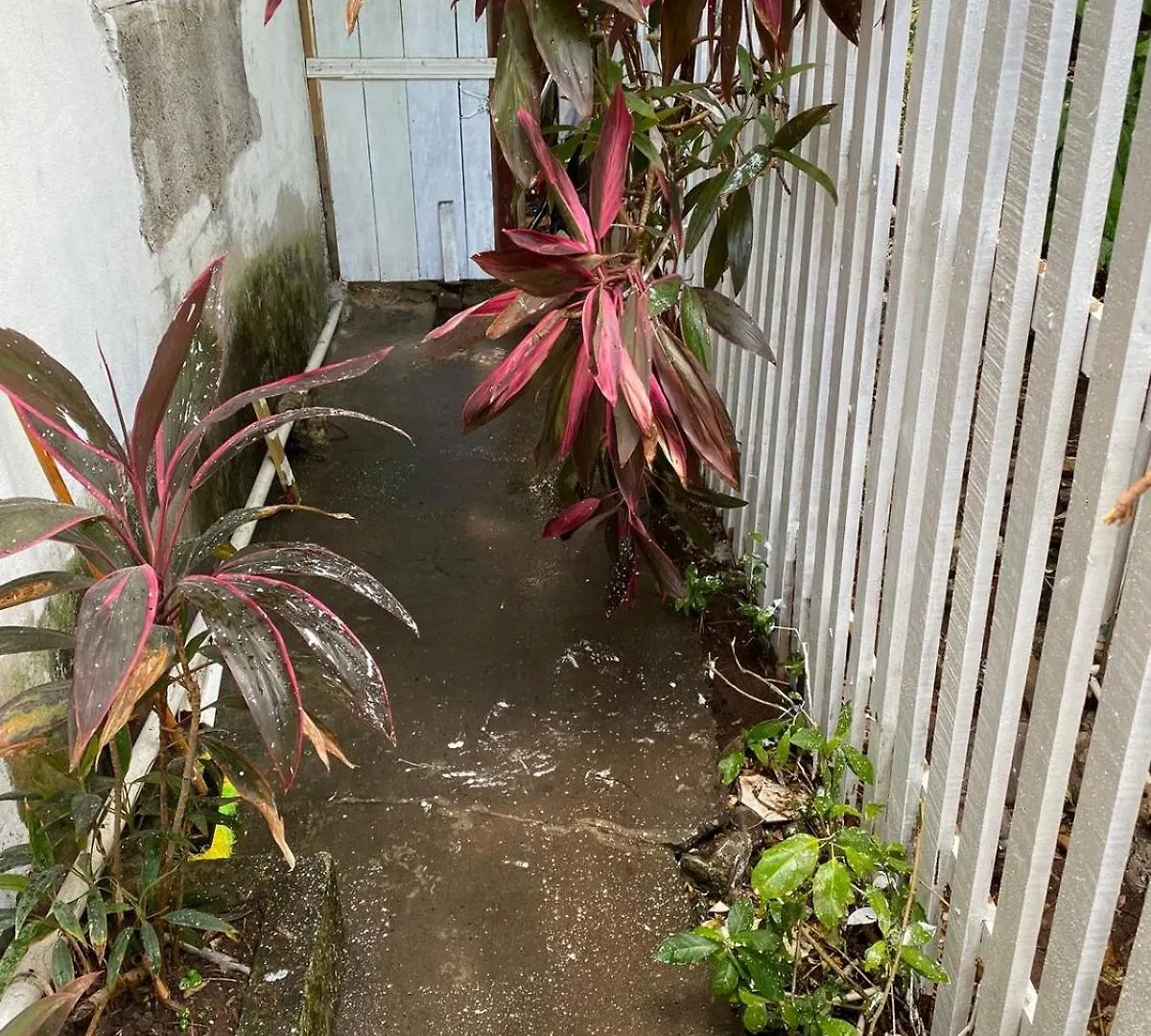 Woody Town Centre Apartment بورت أنطونيو بيت للعطل